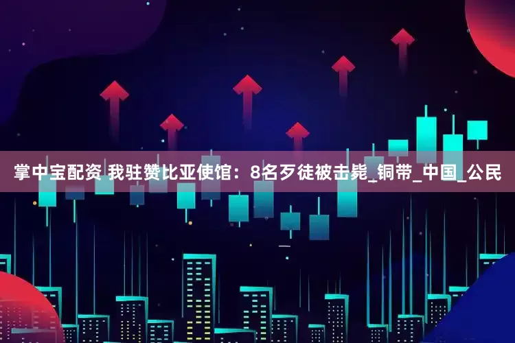 掌中宝配资 我驻赞比亚使馆：8名歹徒被击毙_铜带_中国_公民