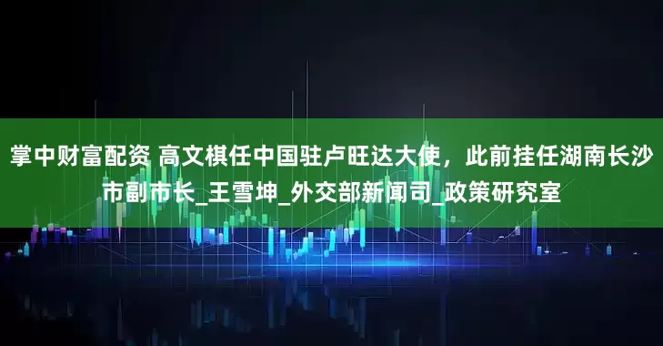 掌中财富配资 高文棋任中国驻卢旺达大使，此前挂任湖南长沙市副市长_王雪坤_外交部新闻司_政策研究室